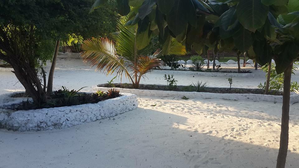 Mfumbwi Lodge Jambiani  Exterior photo